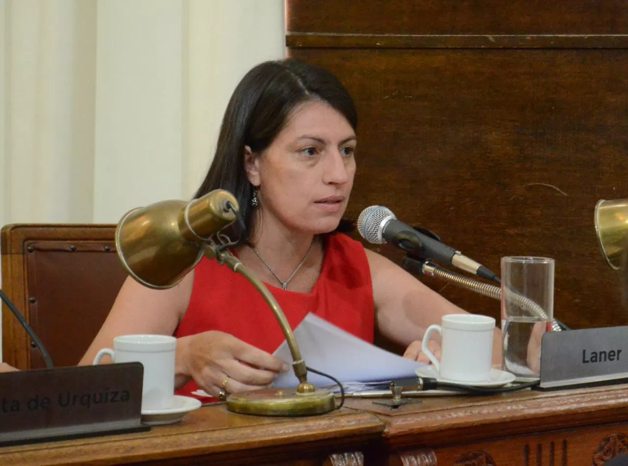 CONCEJO DELIBERANTE - CONCORDIA (2)