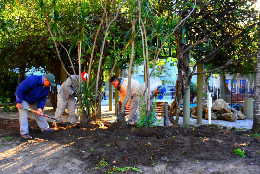 PLAZA 25 DE MAYO - OBRAS (4)
