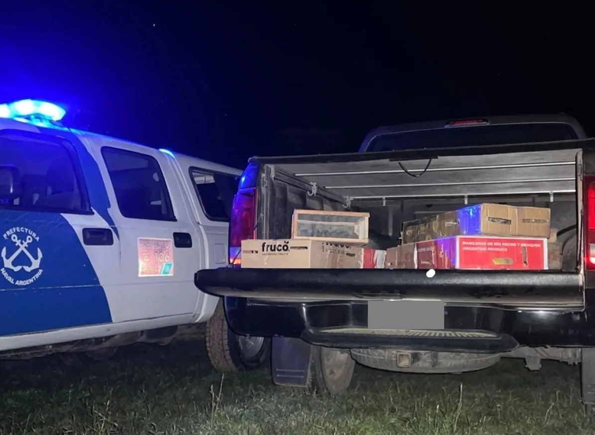 contrabando de aves 1