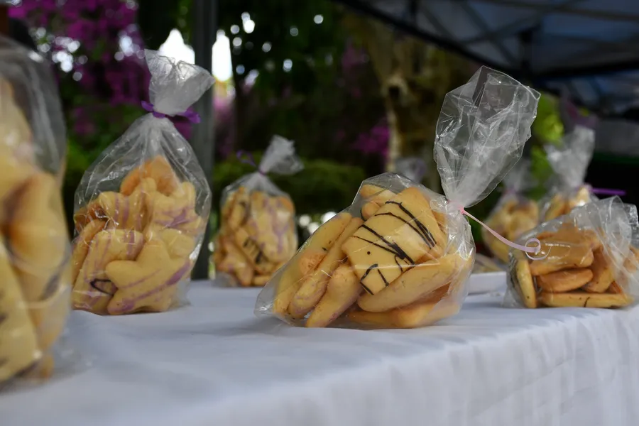 FERÍAS DE LA ECONOMÍA SOCIAL (1)