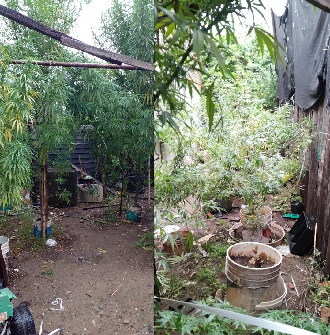 multimedia.normal.9d618b9d612fe2ec.4d6172696875616e615f315f6e6f726d616c2e77656270