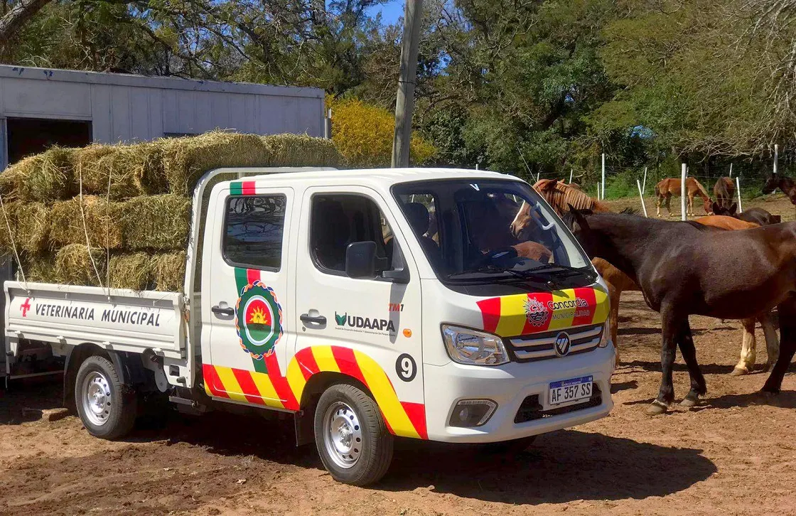 OPERATIVOS - TRACCIÓN A SANGRE - MALTRATO ANIMAL (14)