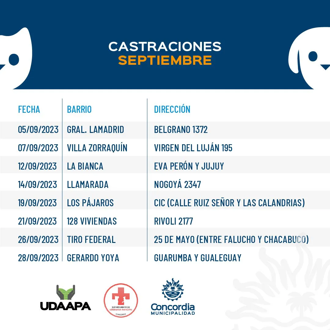 castración mensual_feed gral-02