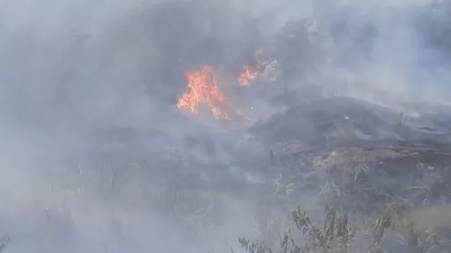 incendios-delta-snmf-2jpg