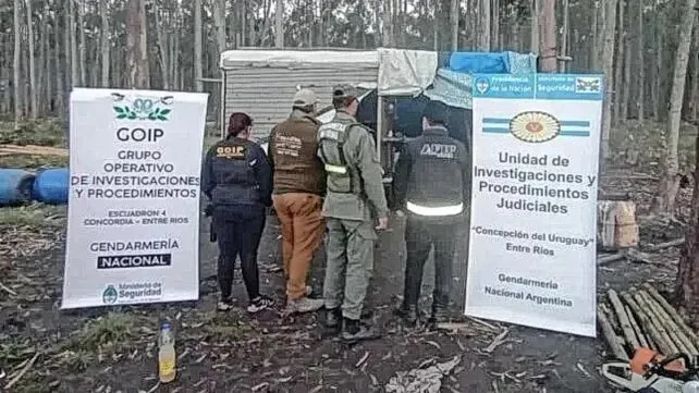 multimedia.normal.92831da96d518850.ZXhwbG90YWNpw7NuIGxhYm9yYWwgMl9ub3JtYWwud2VicA==