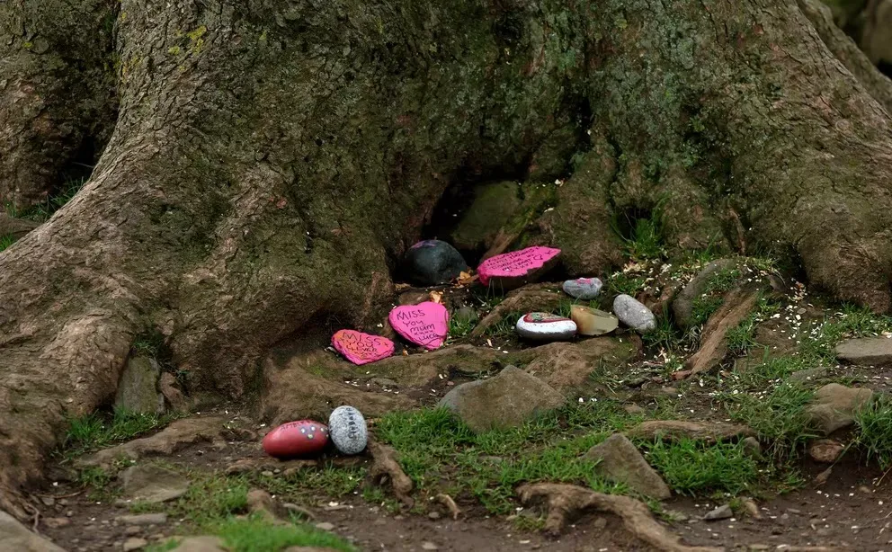 árbol reino unido 3