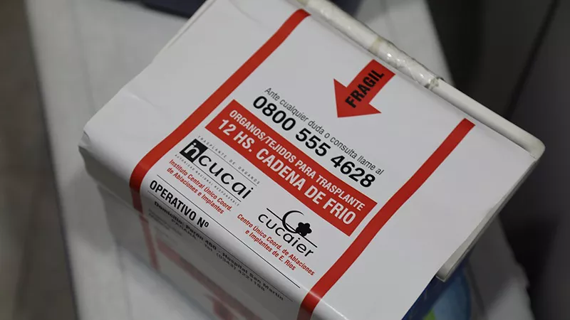 Donación de órganos2