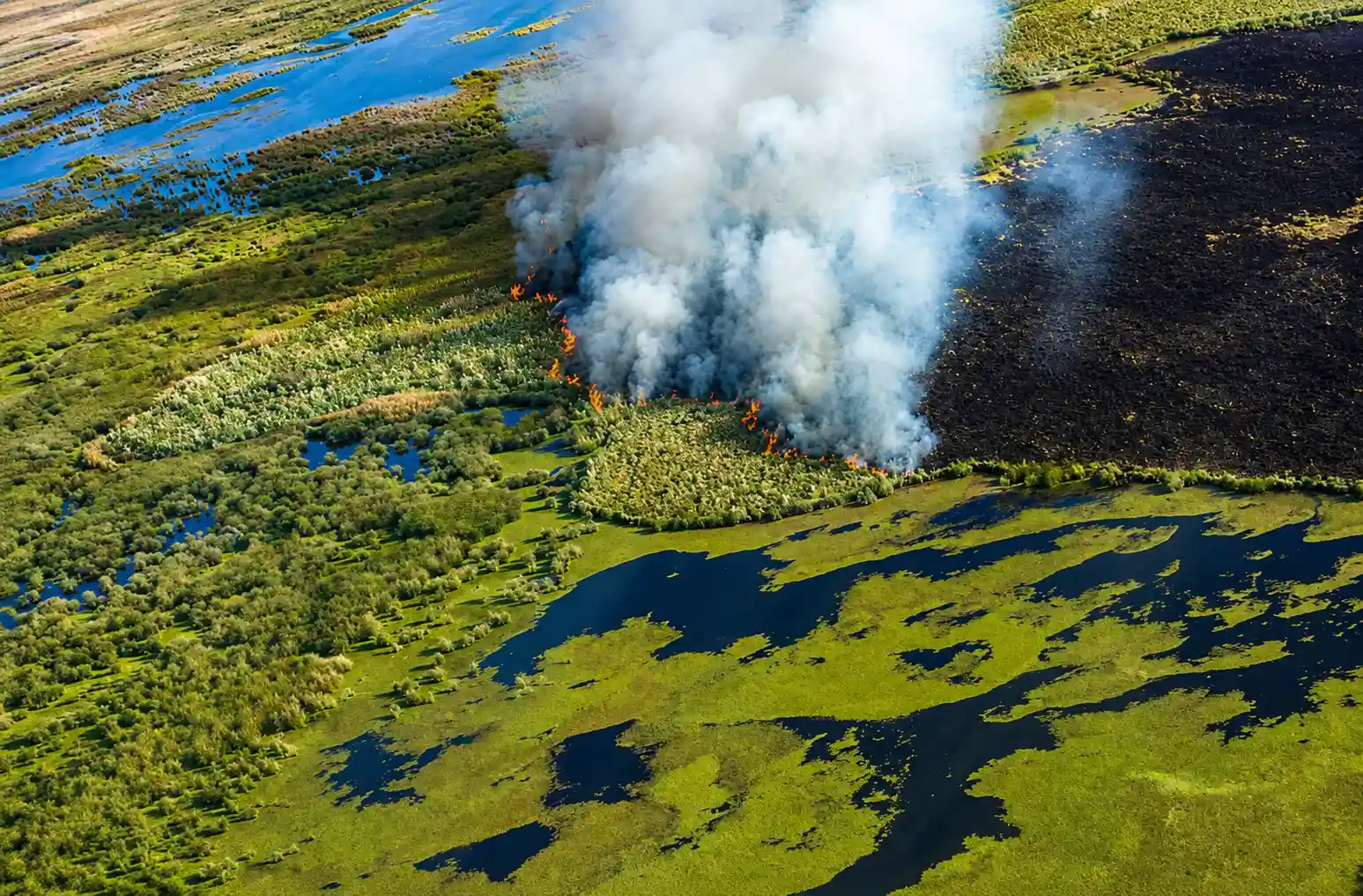 Rechazaron su descargo y deberá pagar una multa por una quema forestal ilegal en el sur de Entre Ríos