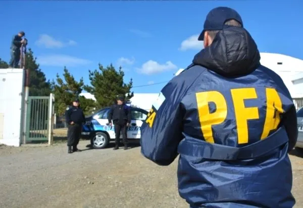 PFA 1