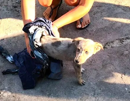rescate 1