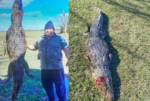 yacaré, rosario del tala