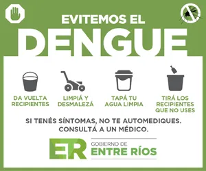 banner_dengue