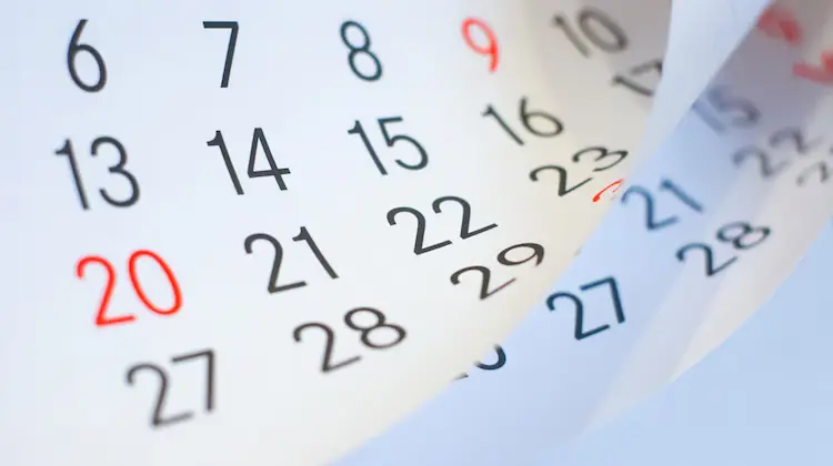 el-gobierno-oficializo-el-traslado-del-feriado-del-domingo-12-de-octubre-foto-adobestock-MQPSWTN575GABACWDCVUB5ZHLY