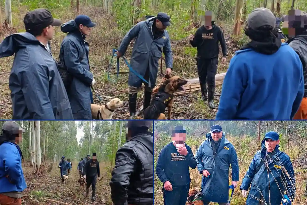 Salió a cazar y se perdió los perros de la Policía lo encontraron  - Diario El Enfoque Concordia