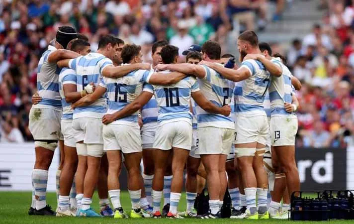 los pumas 1