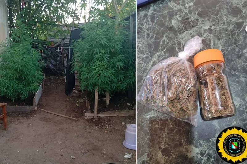 GridArt_20250122_105131051