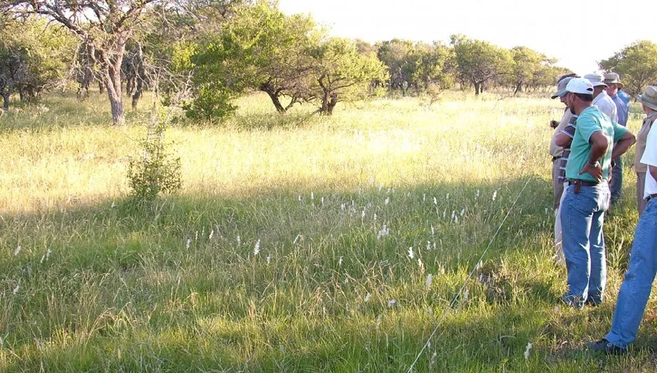 Bosques Nativos Entre Ríos (1)