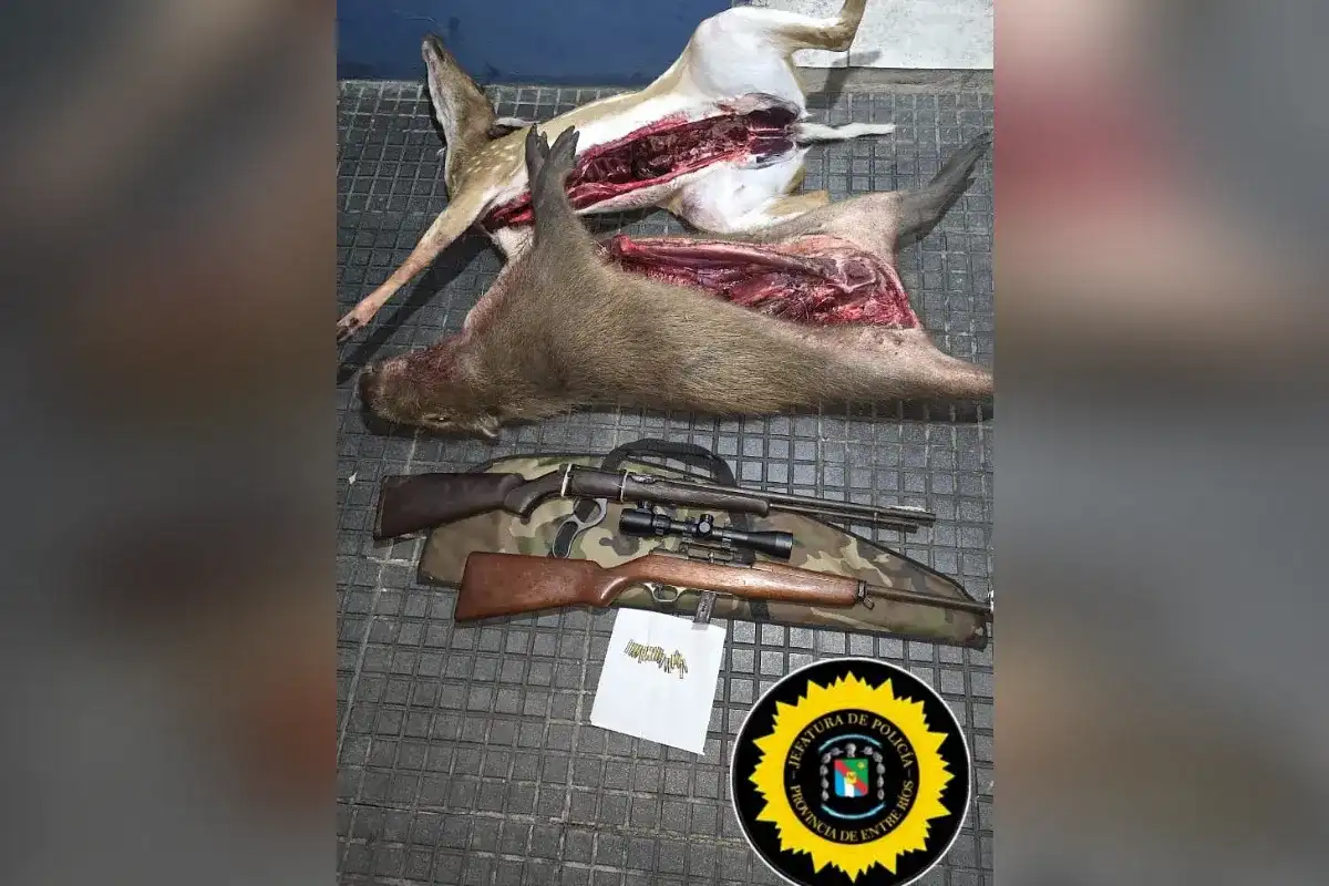 Secuestran armas y animales silvestres durante un control vial - Entre Ríos - Diario El Enfoque