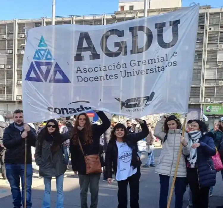 docentes