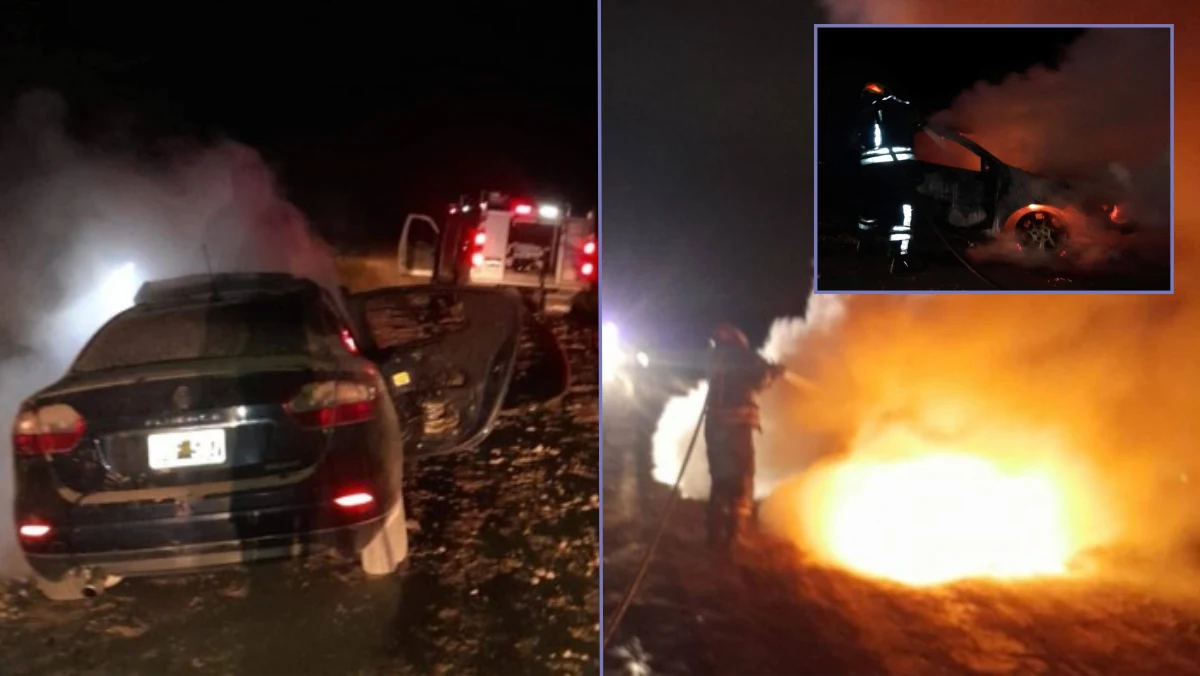 incendio auto-gualegualy