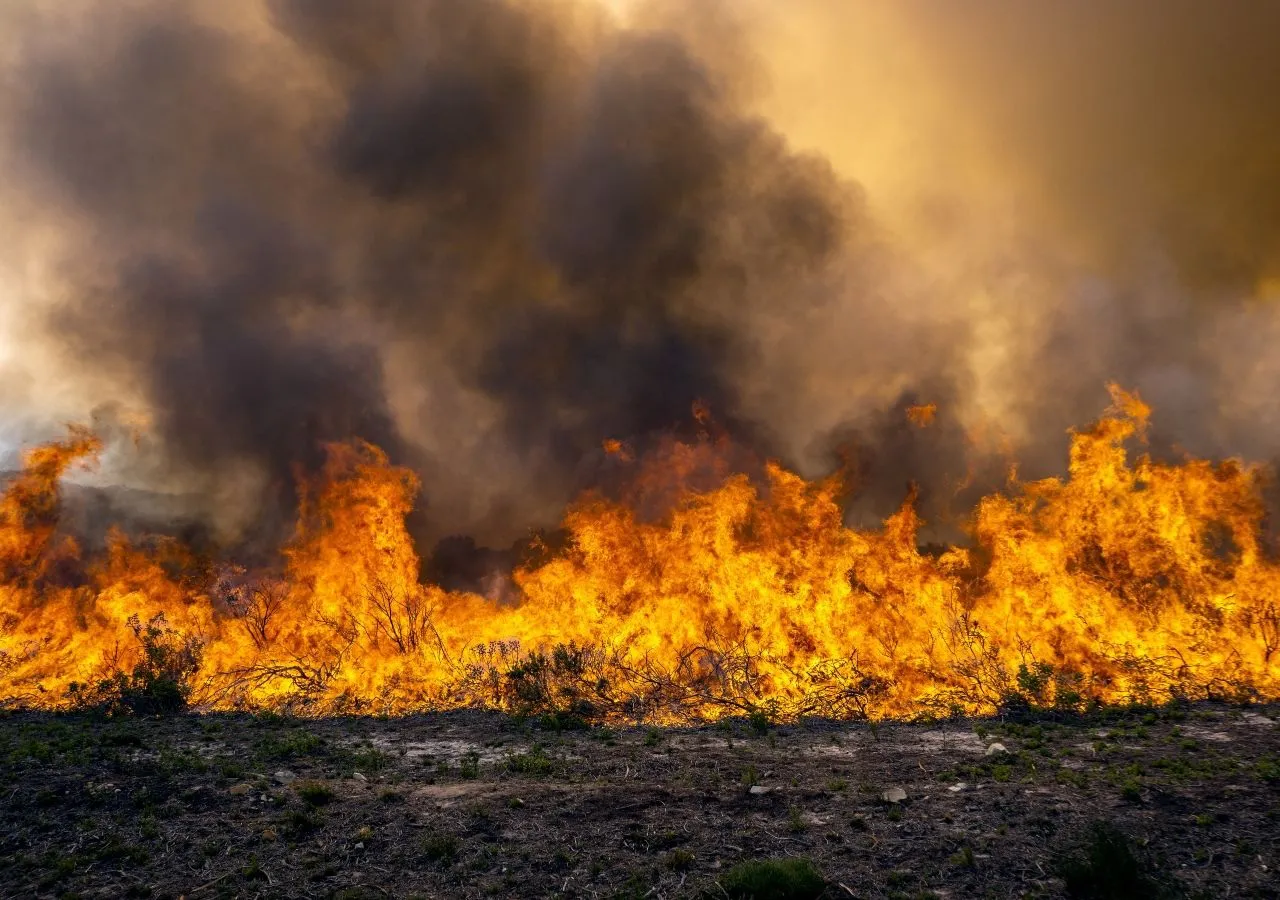 incendio forestal