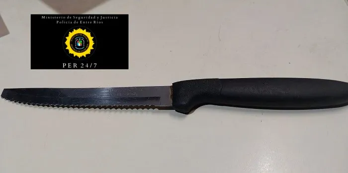 detenido por violencia de género (1)