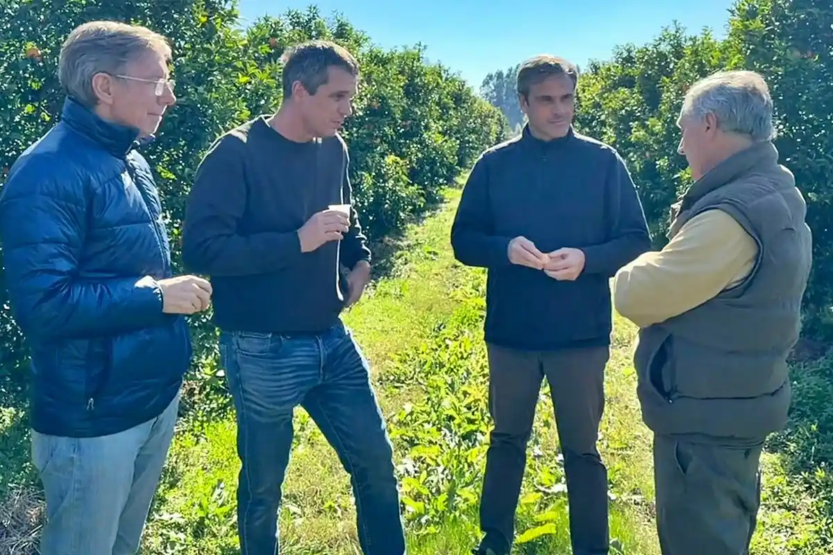 Michel y Cresto alertan por la crisis del citrus en Concordia - Diario El Enfoque