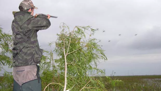 Caza de aves