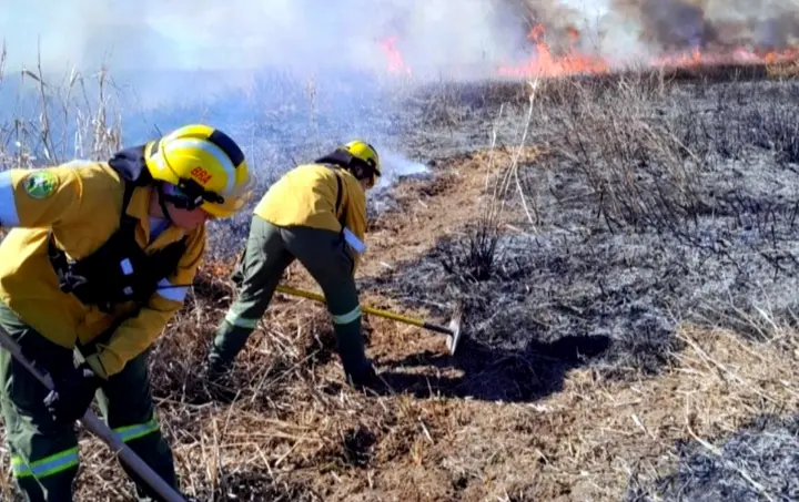 Incendios - Concordia - Diario El Enfoque - Entre Ríos