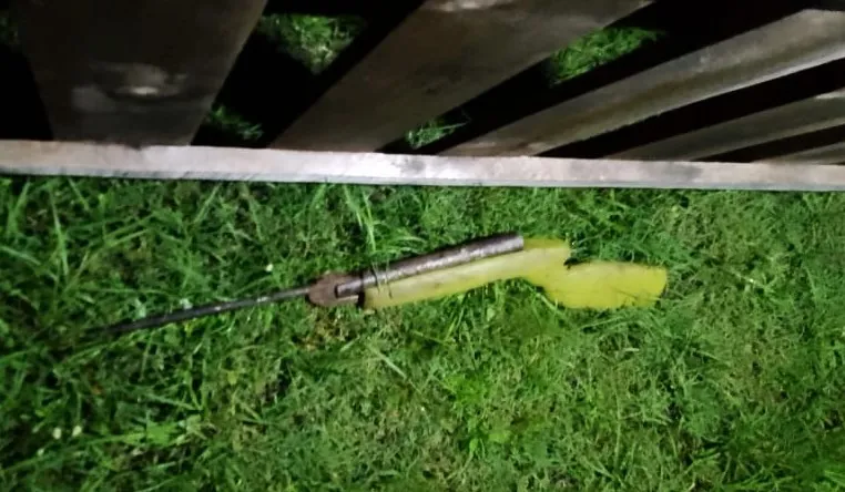 multimedia.normal.b4a943f93ee9b652.V2hhdHNBcHAgSW1hZ2UgMjAyMy0xMi0xNyBhdCA1LjFfbm9ybWFsLndlYnA=