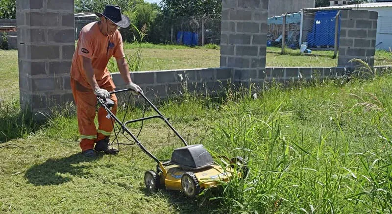 dengue 1 (1)