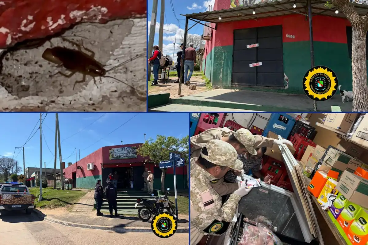 Clausuraron una carnicería en Concordia encontraron heces de roedores y decomisaron 138 kilos de carne - Diario El Enfoque