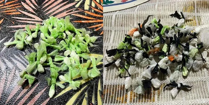 Allanamiento PFA 2 (1)