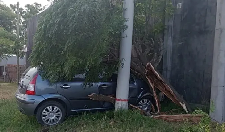 choque auto en san salvador (1)