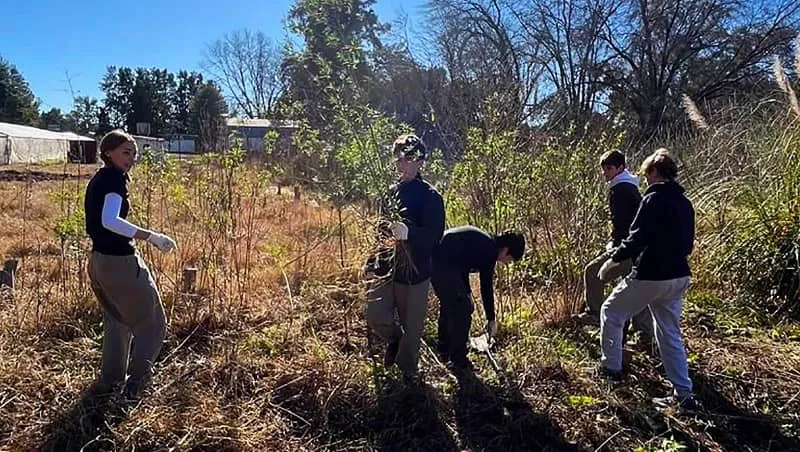 voluntariado 123 (1)