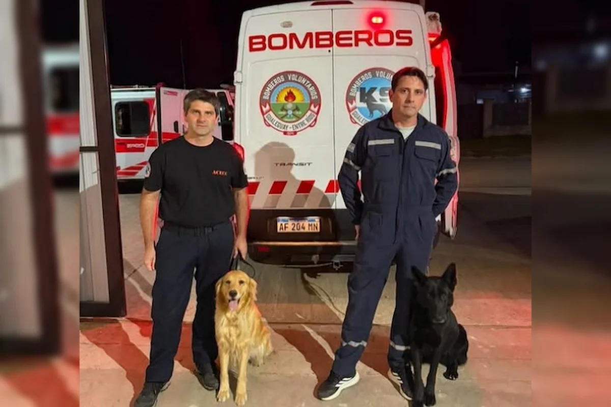 Bomberos K9 de Gualeguay fueron convocados para rescatar víctimas del terremoto en Venezuela - Diario El Enfoque Concordia
