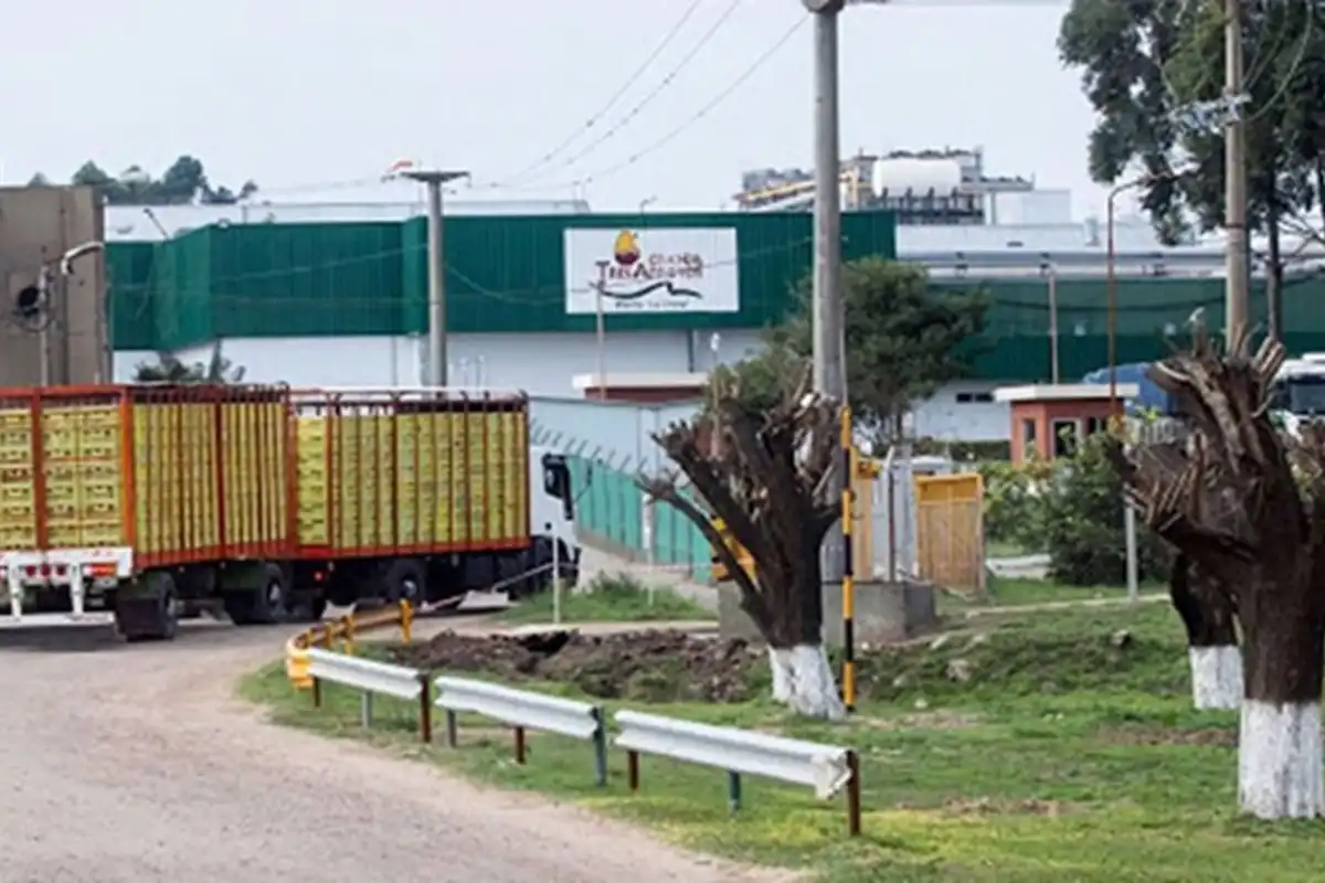 Crisis en Granja Tres Arroyos cierran planta en Concepción del Uruguay - Diario El Enfoque Concordia