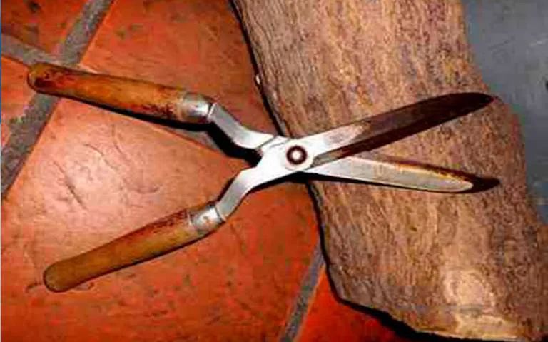 tijeras