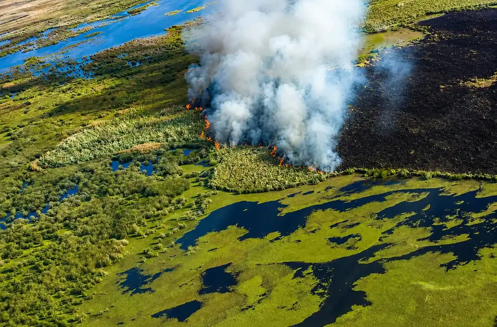 incendios forestales - diario el enfoque concordia
