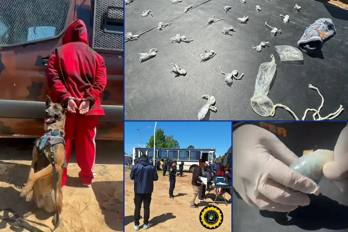 Secuestro de droga en colectivos de cosecheros - Concordia - Diario El Enfoque