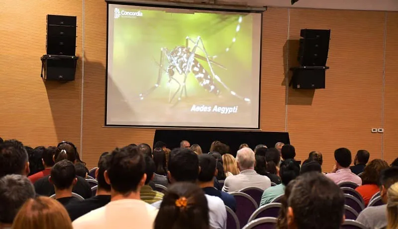 Dengue (1)