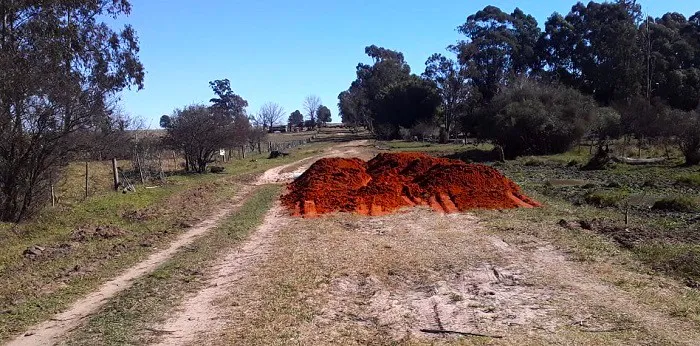 WhatsApp Image 2024-07-29 at 5.17.03 PM (1)