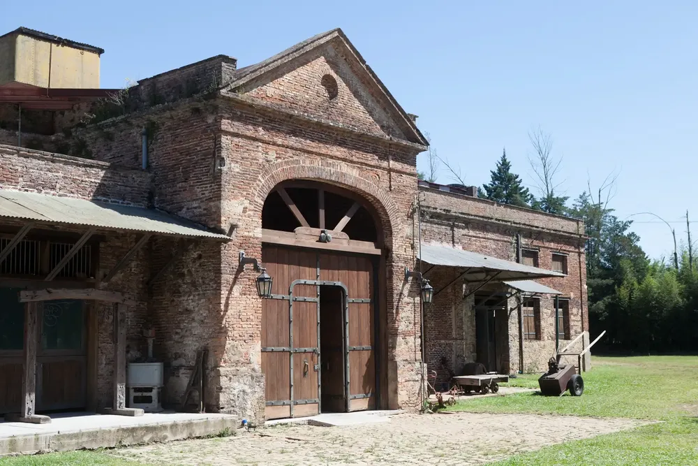 bodegas robinson