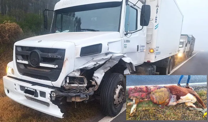 ACCIDENTE DE TRÁNSITO R18 KM236 (1)bbb