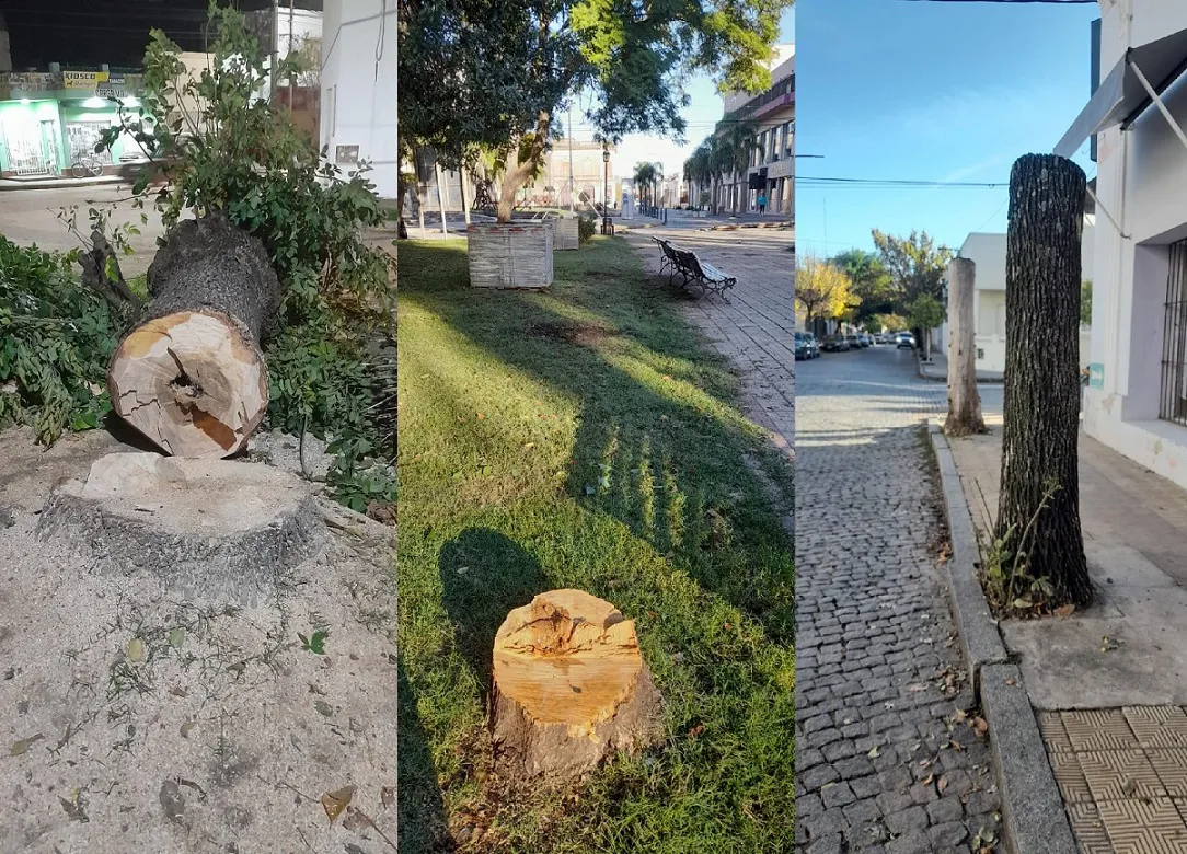 Gualeguay1