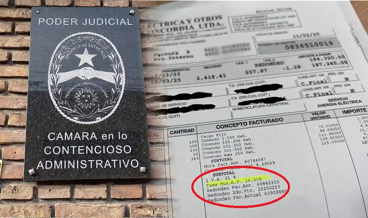 Las boletas de luz podrán seguir incluyendo el alumbrado público y las tasas municipales. Diario El Enfoque
