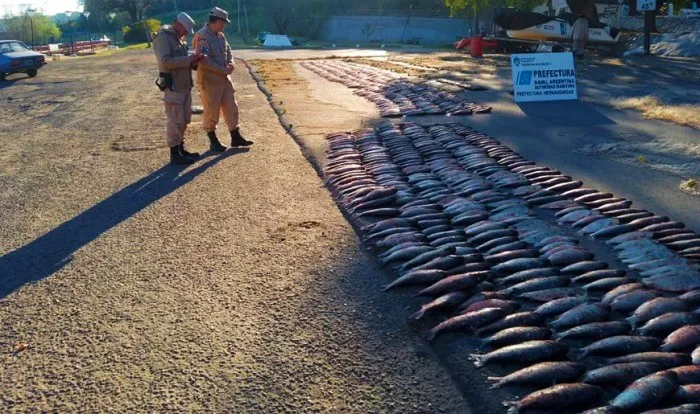 pescados 1