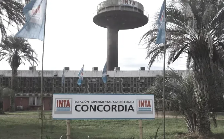 inta