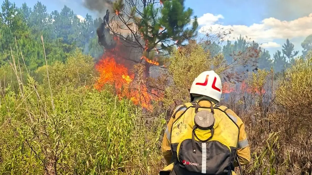 Incendios Bomberos Voluntarios - Diario El Enfoque Concordia