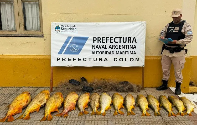 prefectura 1 (3)